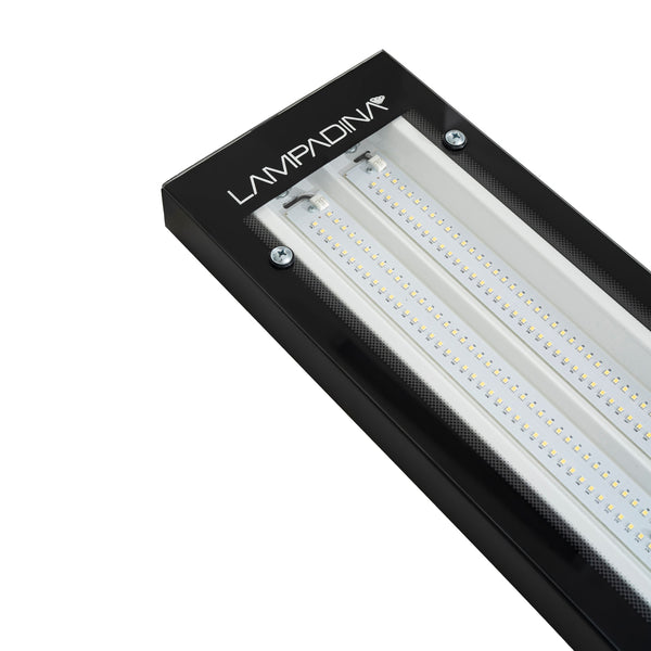 LAMPADINA | 120W LED High Bay Fixture