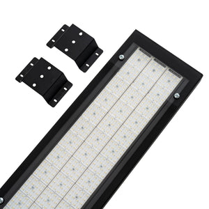 LAMPADINA | 225W LED High Bay Fixture with Lens