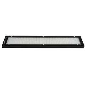 LAMPADINA | 225W LED High Bay Fixture with Lens