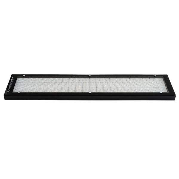 LAMPADINA | 225W LED High Bay Fixture with Lens