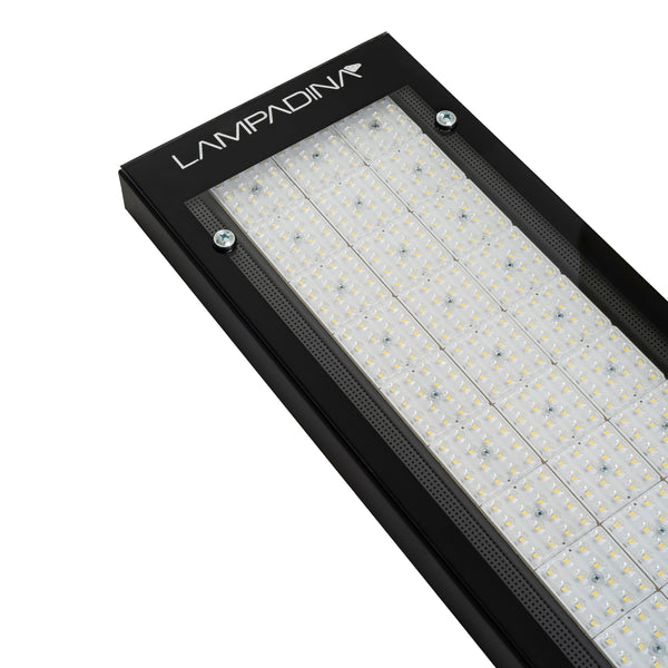 LAMPADINA | 225W LED High Bay Fixture with Lens