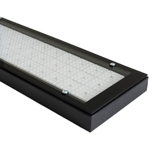 LAMPADINA | 225W LED High Bay Fixture with Lens