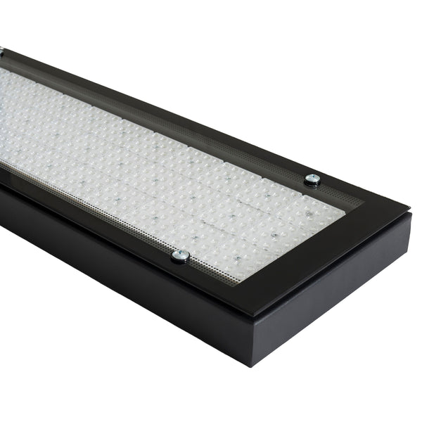 LAMPADINA | 225W LED High Bay Fixture with Lens