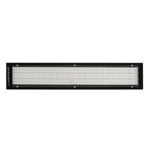 LAMPADINA | 225W LED High Bay Fixture with Lens