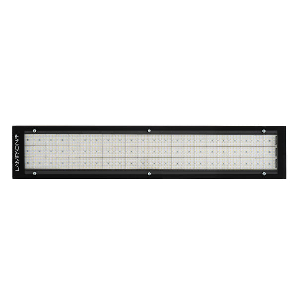 LAMPADINA | 225W LED High Bay Fixture with Lens